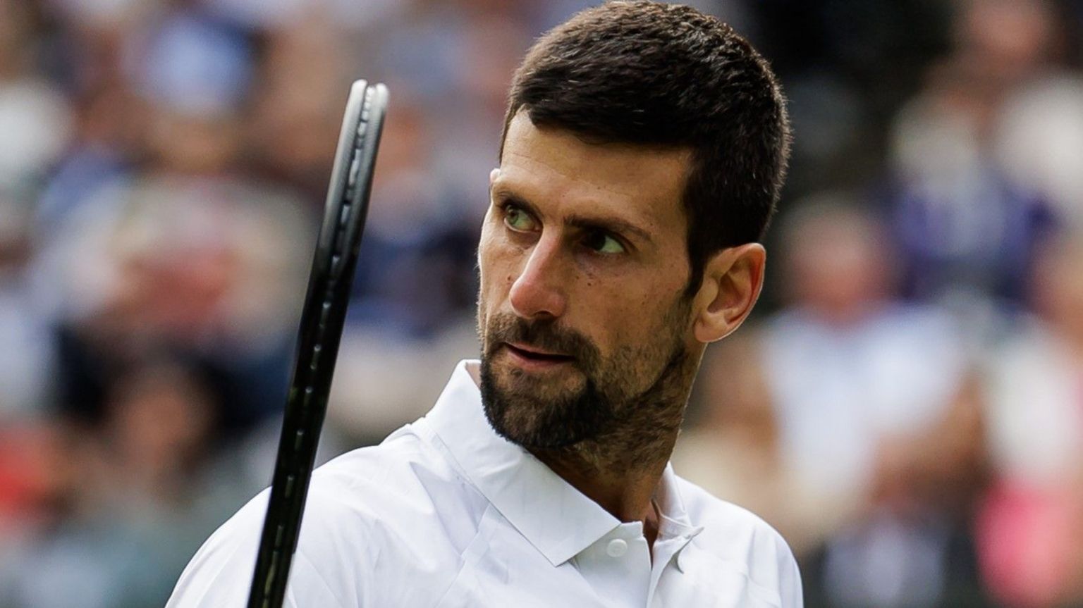 Djokovic to play Wimbledon but only if he feels he can challenge for the title