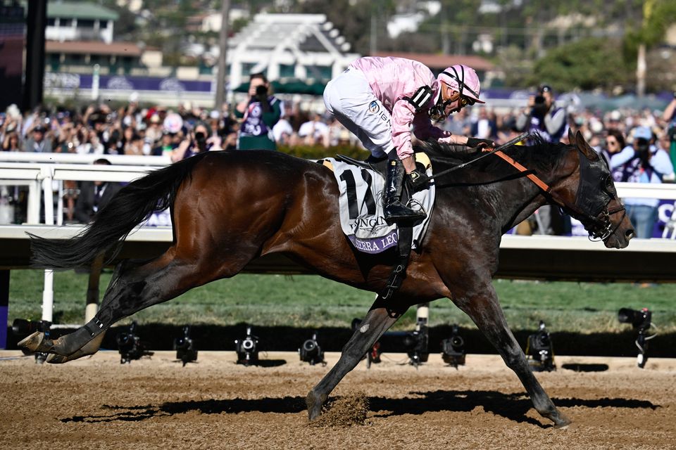 Sierra Leone storms to victory in Breeders’ Cup Classic